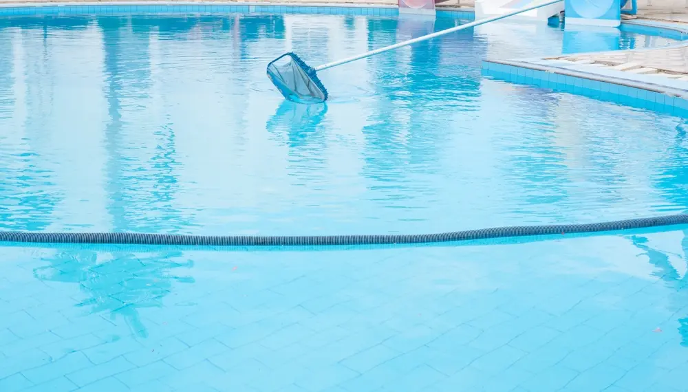 shutterstock 2623647583